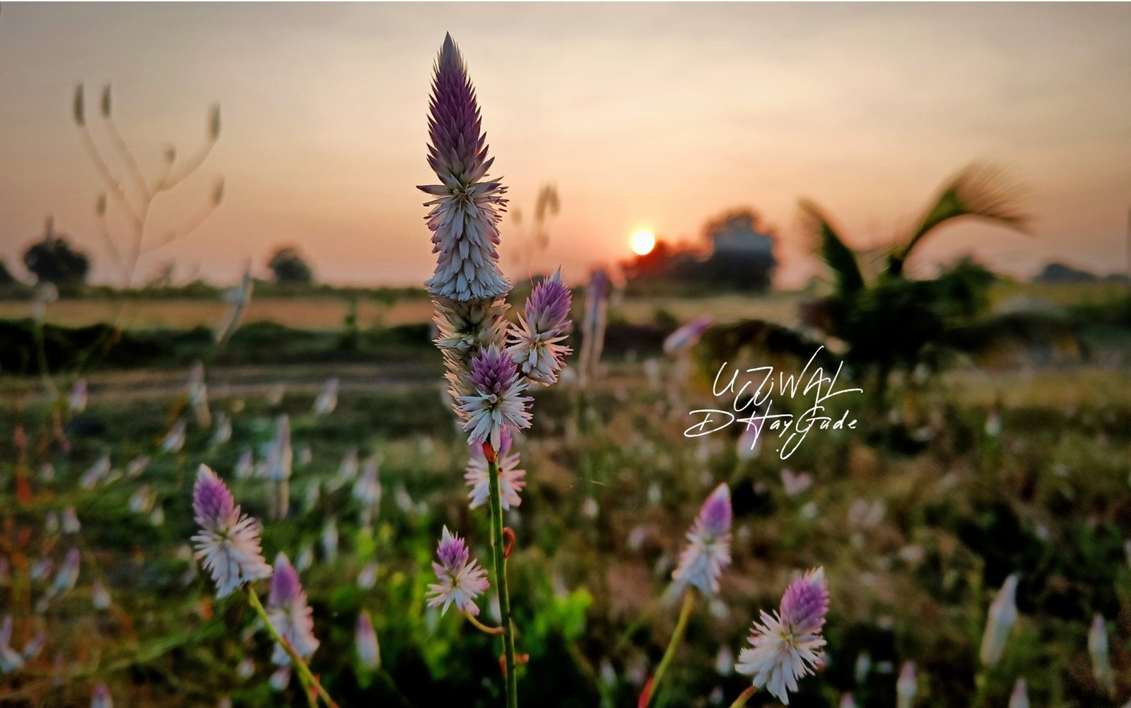 The forgotten art of spacing