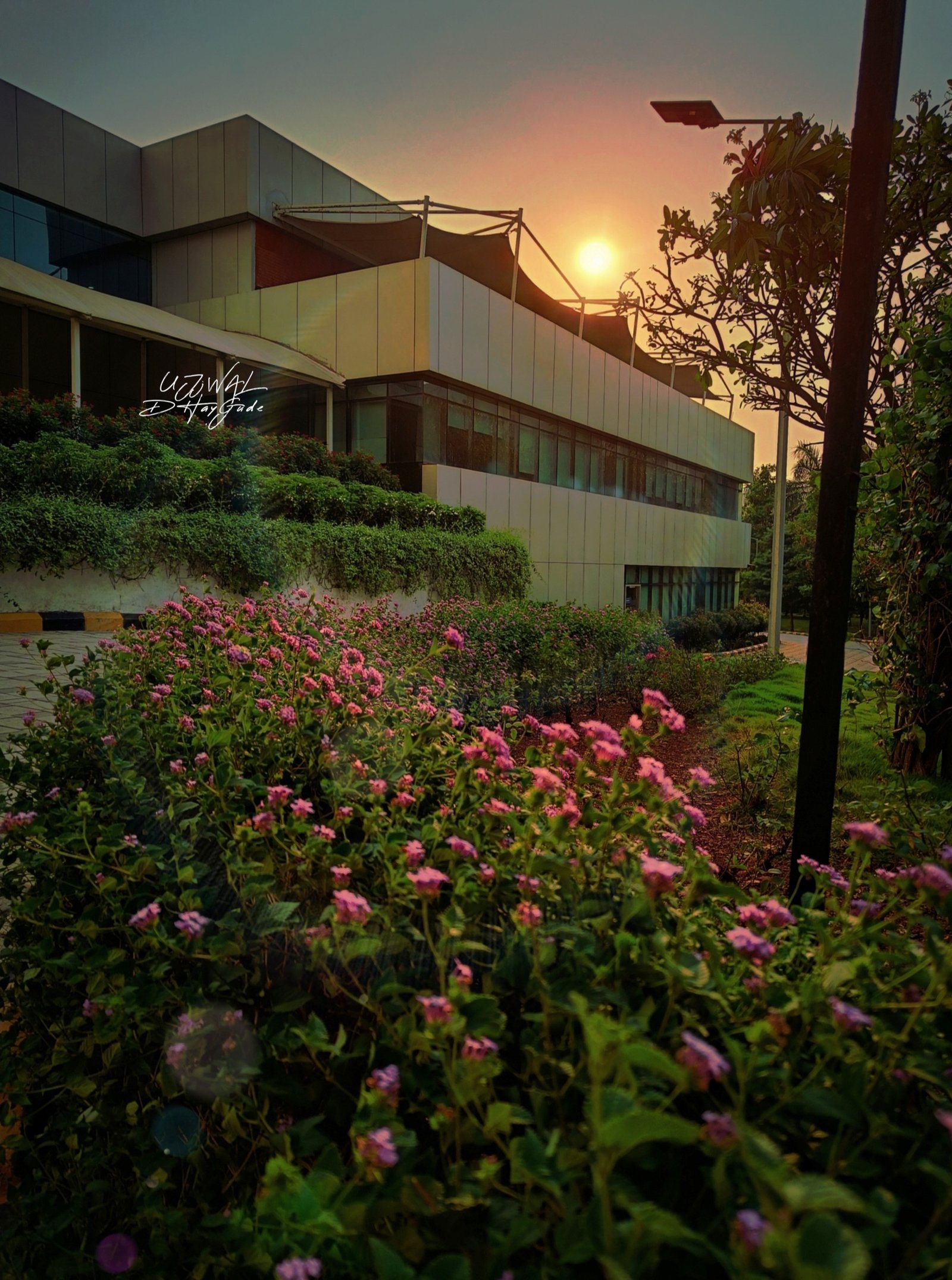 Best fonts every designer